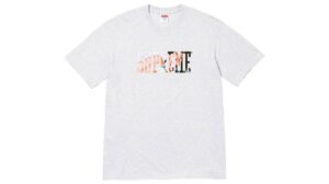 Supreme Tera Patrick Collegiate Tee Ash Grey