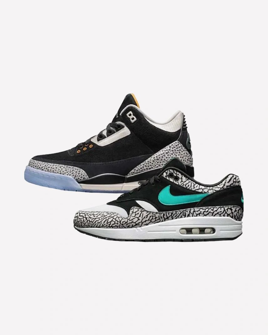 Air Jordan 3 Retro & Nike Air Max 1 atmos Pack