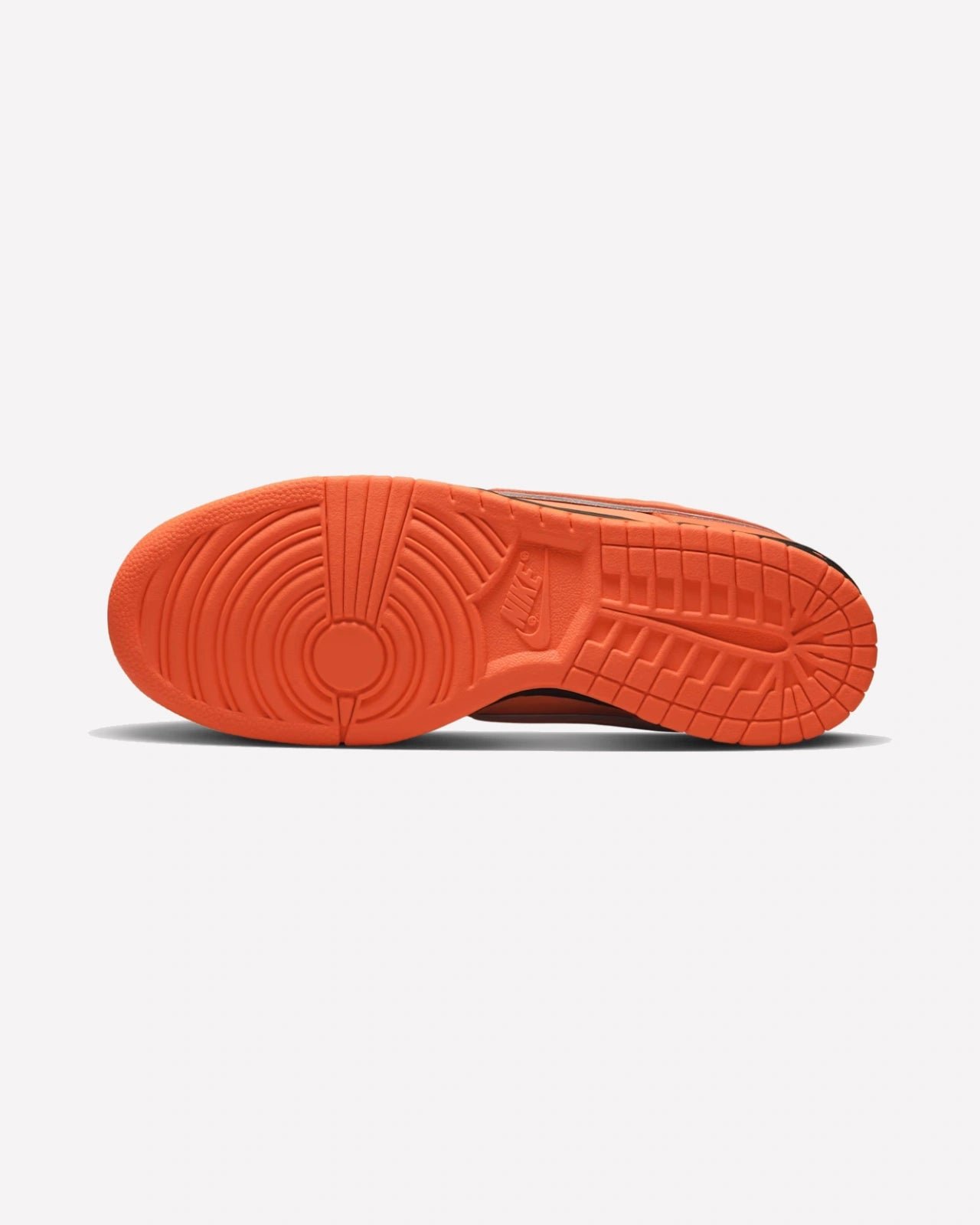 Nike SB Dunk Low Concepts Orange Lobster (Special Box) - Imagen 6